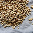 Coriander Seeds Pattu 200 gm