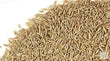 Cumin Seeds Pattu 1kg